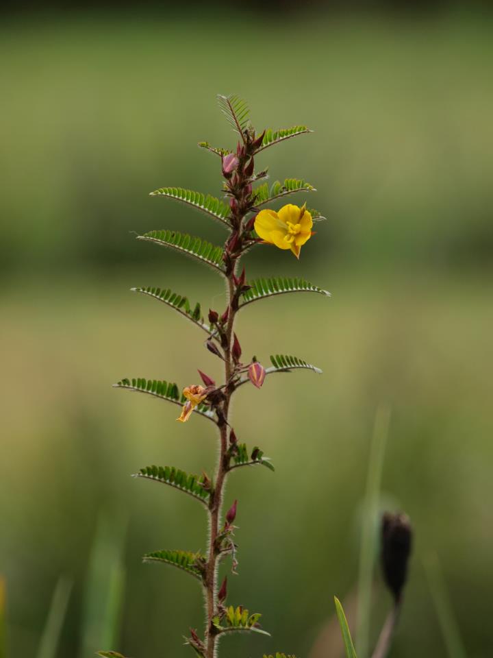 Dios_Ricardo_Luna_ABurto
