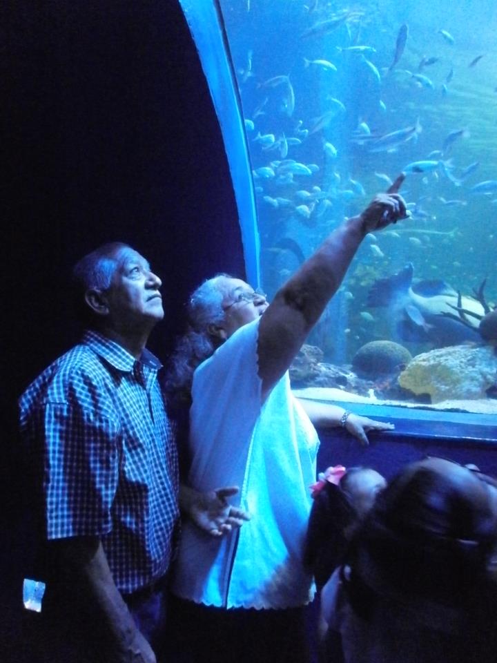 el asombro de la vida