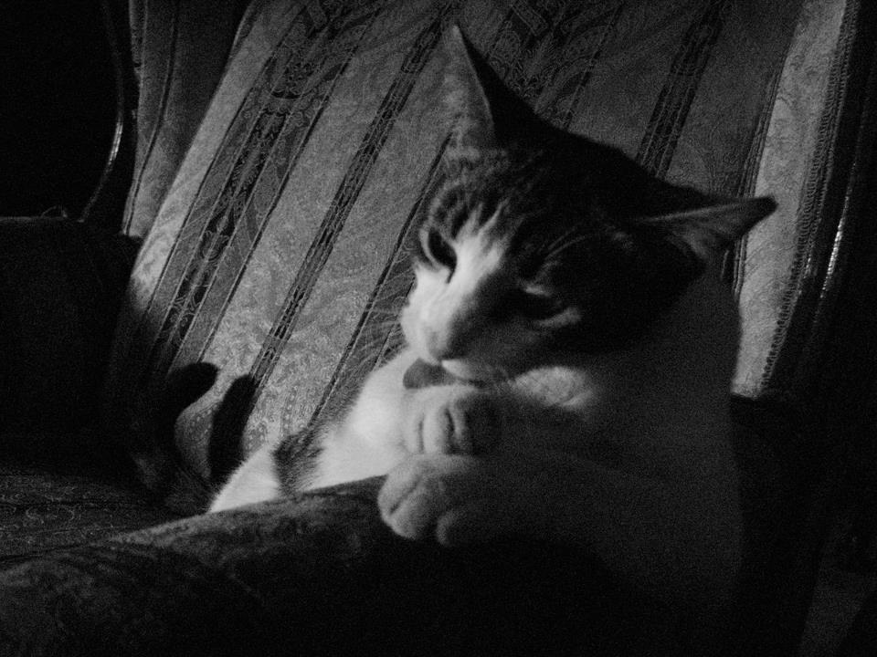 Reflexiones_de_sofá_Fabiola_Chavarría