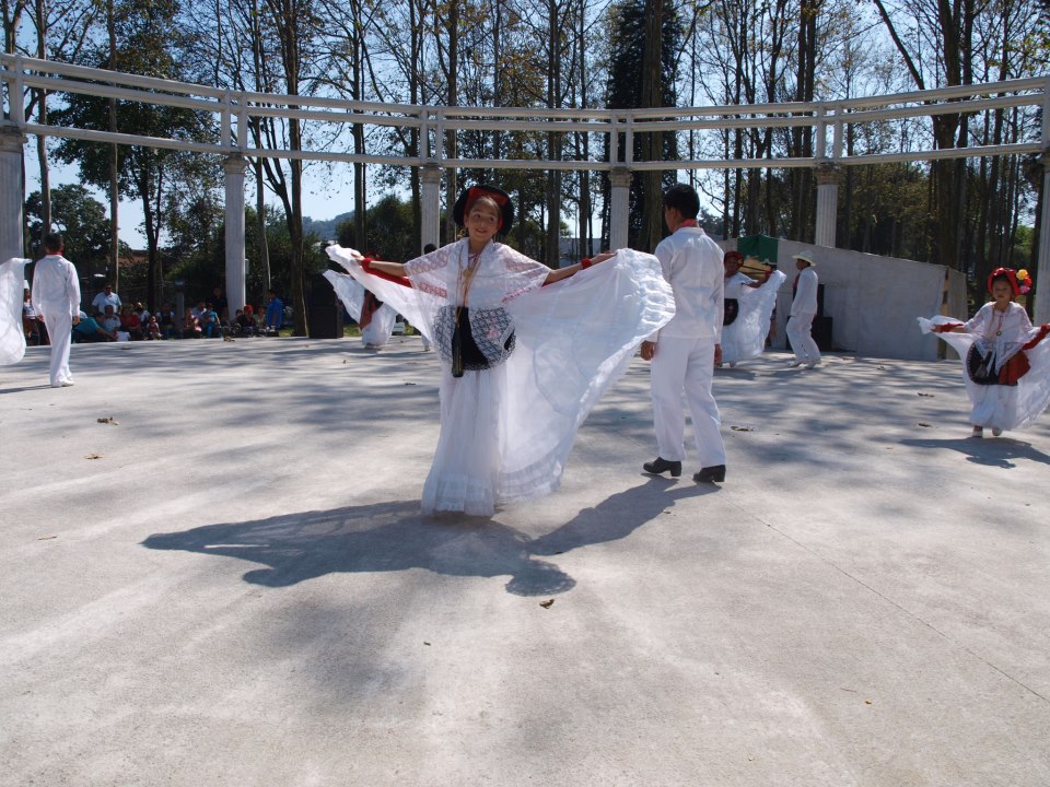 esplendor_jarocho_Ricardo_Luna_Aburto