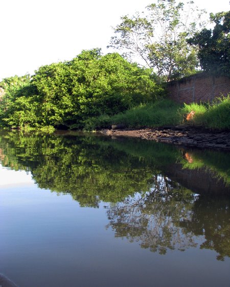 La_simetria_del_arbol_recostado_Fabiola_Chavarria