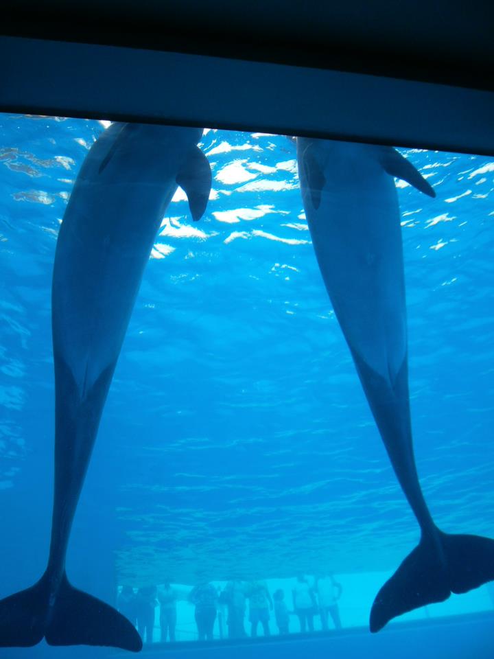 con_el_agua_al_cuello_Ricardo_Luna_Aburto