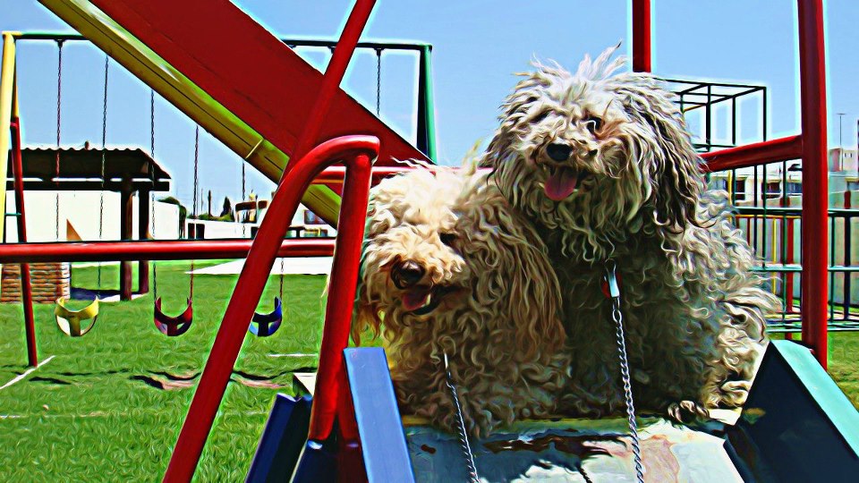 el_duo_ greñas_Daniel_David_Rivera_Mercado