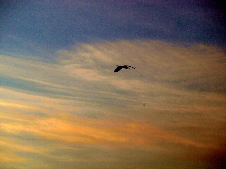 pinceladas_de_la_realidad_Ricardo_Luna_Aburto