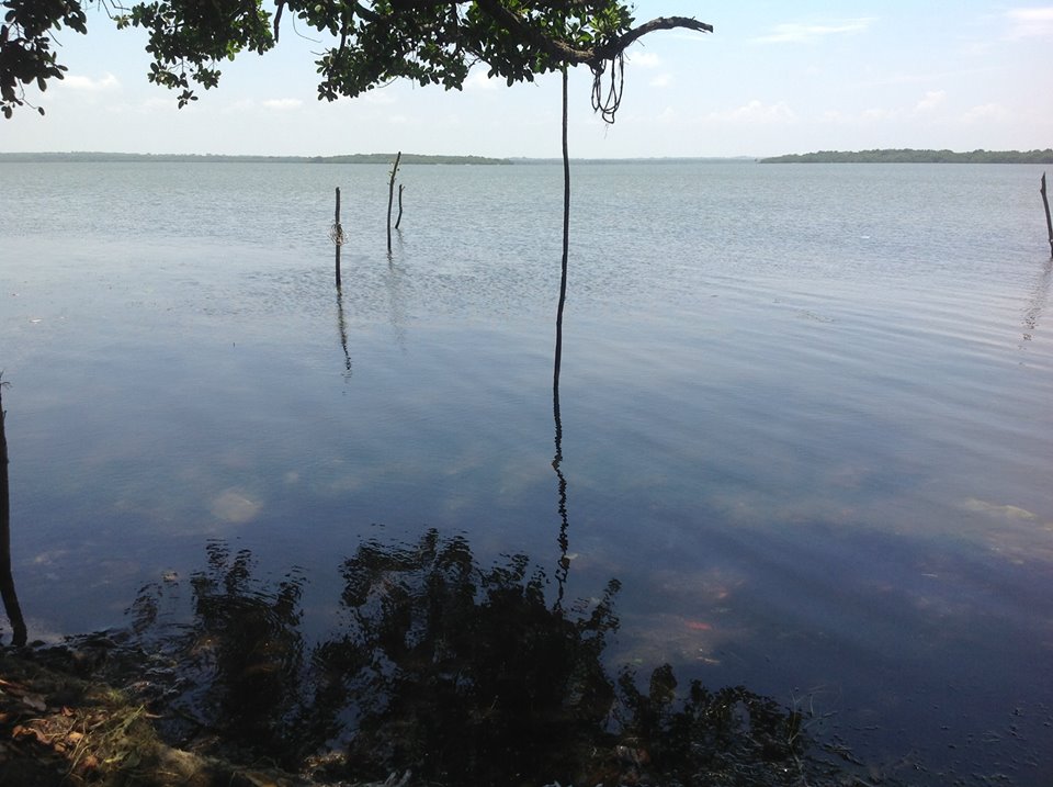 reflejos_en_el_afluente