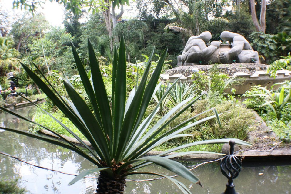 El_rincón_de_los_egoistas_M.A._Cristiani