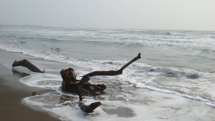 elnaufrago_Daniel_David_Rivera_Mercado