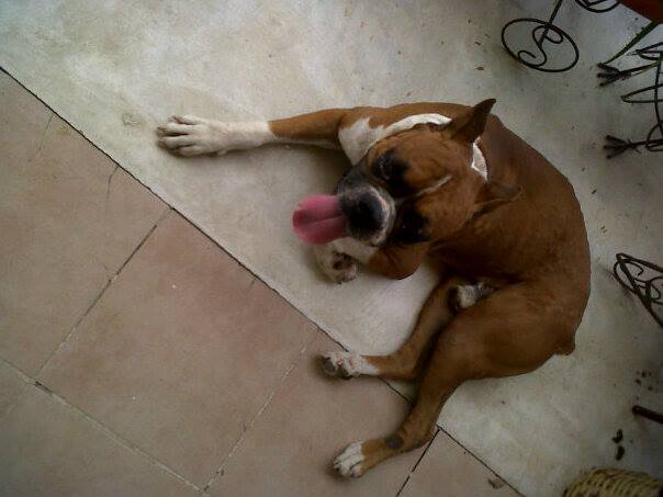 Reposo_del_guerrero_Jorge_Saucedo_Almazán