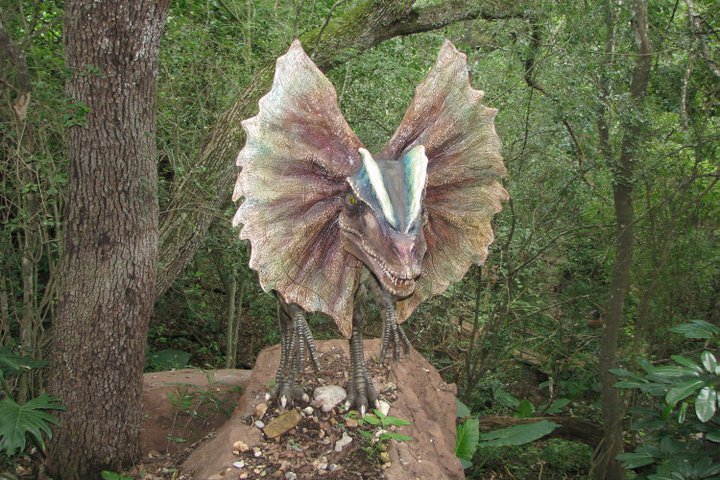 Y_cuando_desperto_fabiola_chavarria_Fuentes