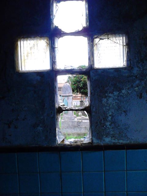 Atisbo de la vida_Ricardo_Luna_Aburto