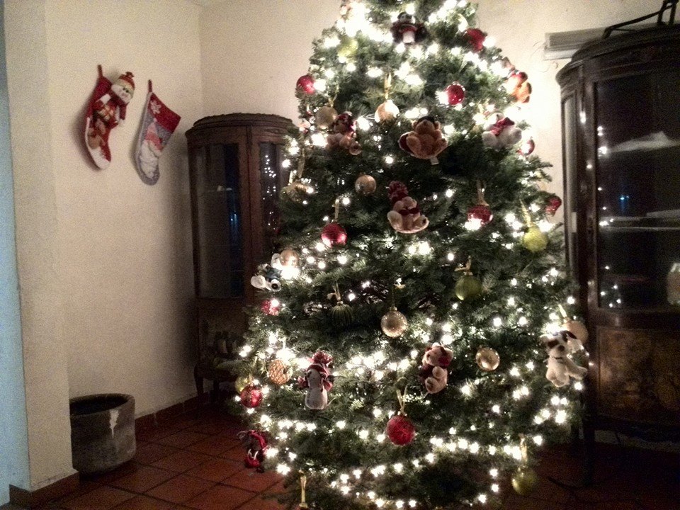 arbolito_en_proceso_Guadalupe_Bravo_Clere