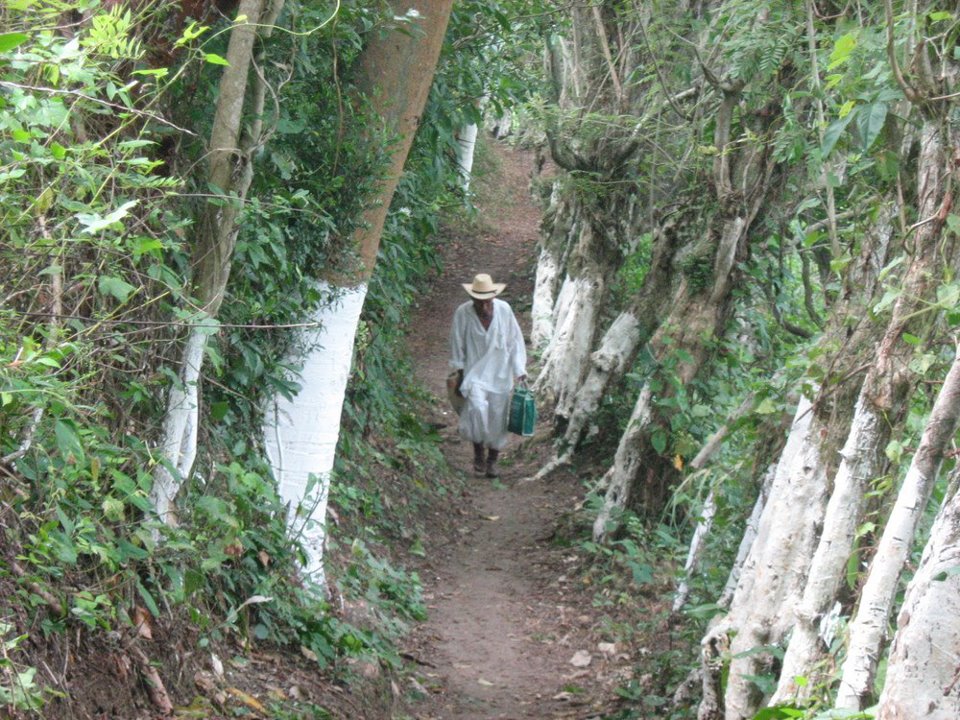 Camino Eterno_Irene_Arceo_Muñiz