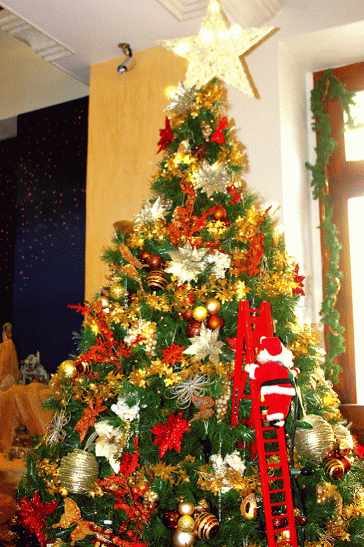 Cúspide_de_Invierno_Miguel_Angel_Cristiani