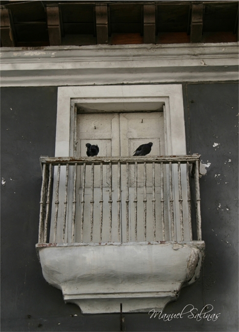 Mirada de ciudad 3_Manuel Salinas_Arellano