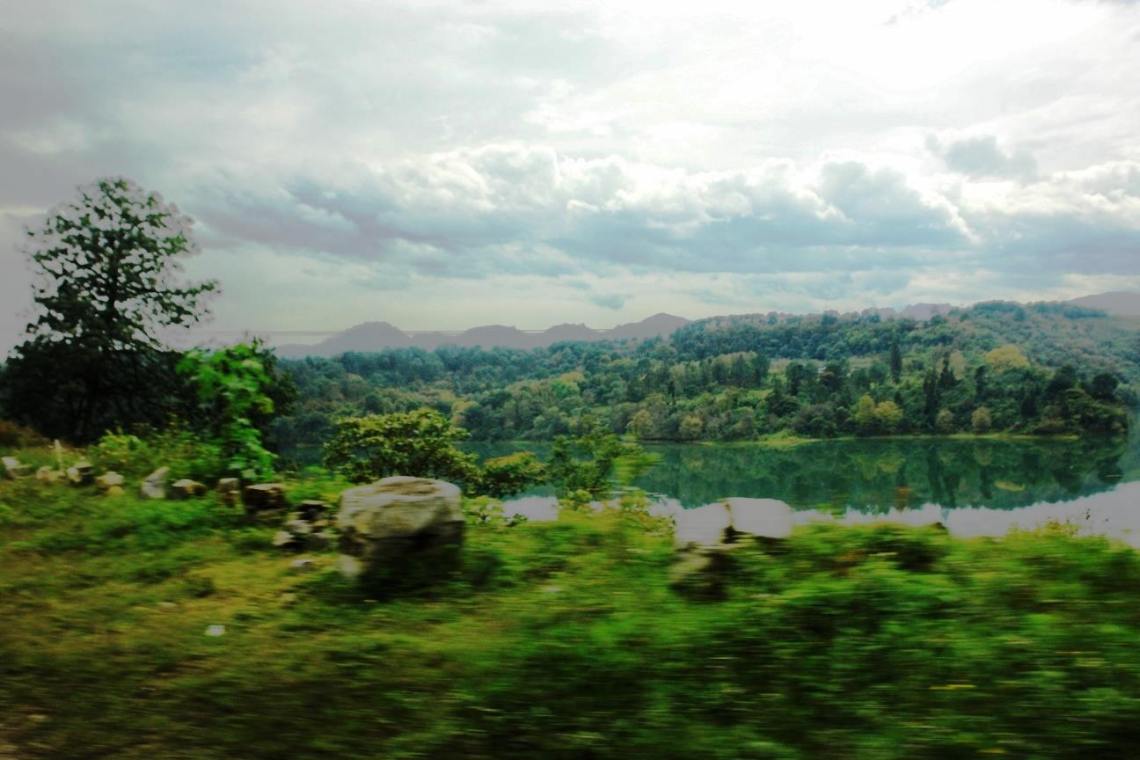 Acuarela en verdes_Jorge_Antonio_Saucedo_Almazán