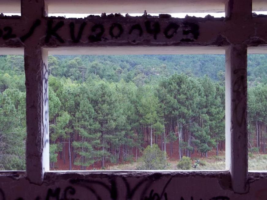 panorama_desde_normal_de_perote_Mario_Jesús_Gaspar_Cobarrubias