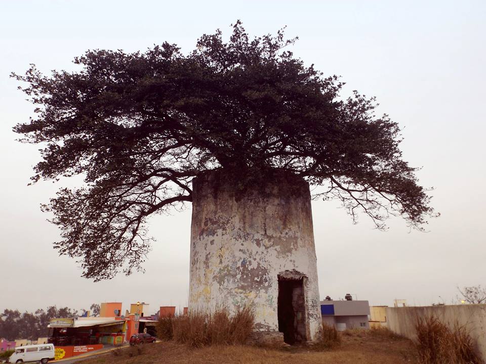 La Atalaya_Mario_Jesús_Gaspar_Covarrubias