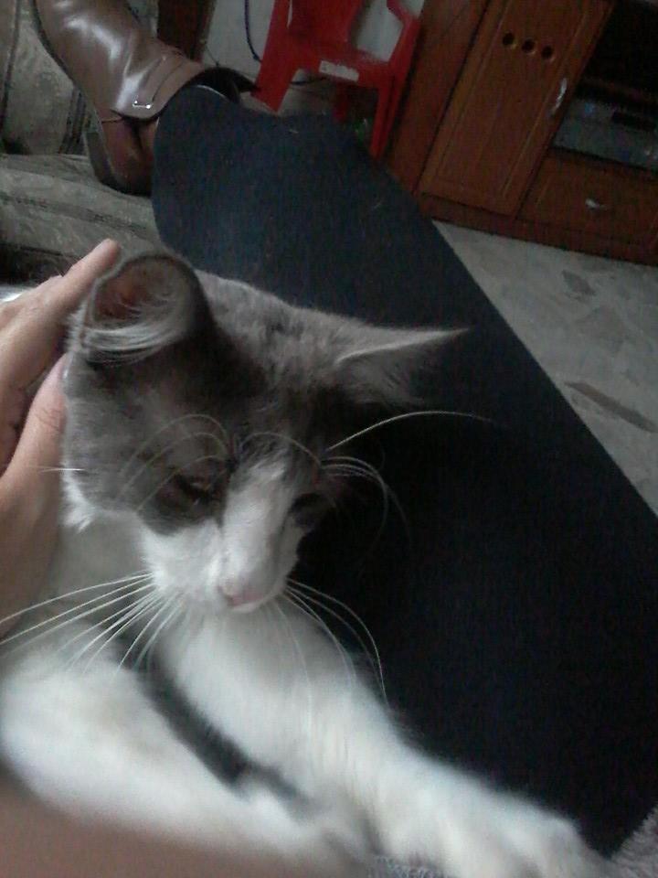 naevio_amasando_Fabiola_Fuentes_Chavarria