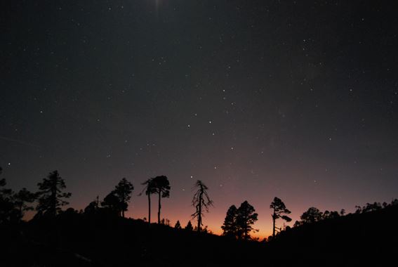 osamayor__Bulmaro_Bazaldua_Baldo