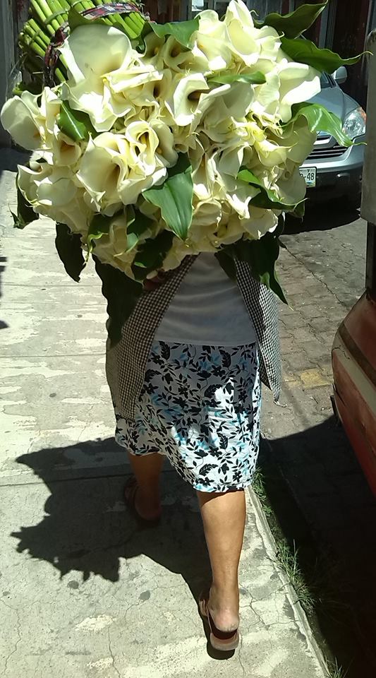 tallo_grueso_Ricardo Luna_Aburto