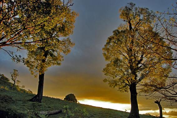 Amanecer_en_el_camino_Bulmaro_Bazaldúa_Baldo