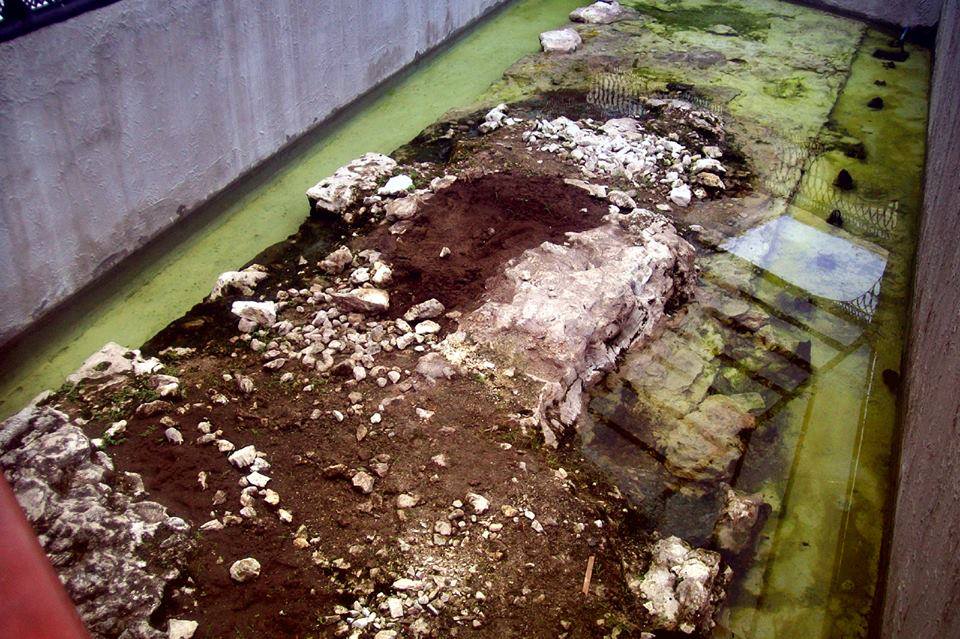 cimiento de muralla de Veracruz