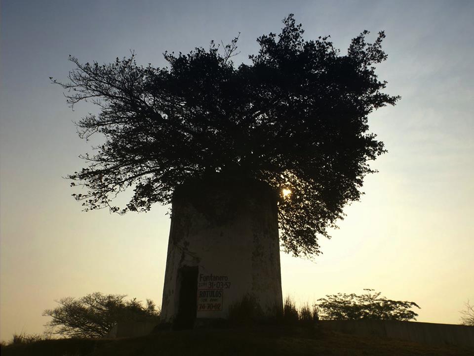Evocación_del_paraiso_Mario_Jesus_Gaspar_Cobarrubias