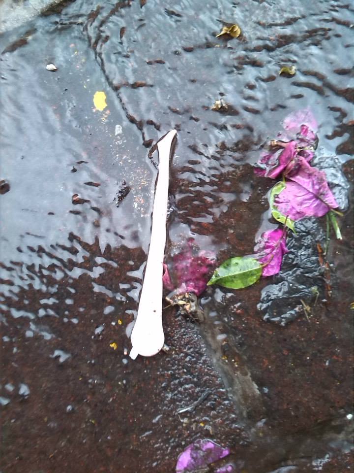 trash_Ricardo_Luna_Aburto