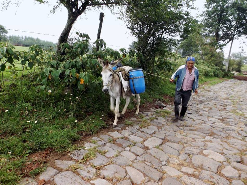 arrieros_somos_Mario_Jesús_Gaspar_Cobarrubias