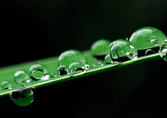 buscando_la_calma_Bulmaron_Bazaldua_Baldo