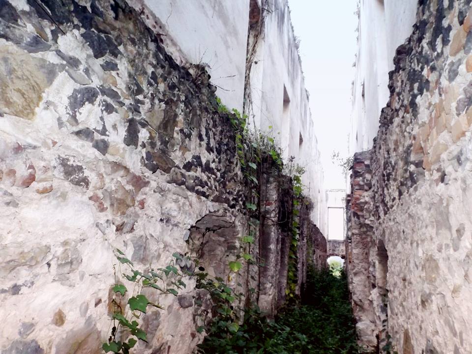 entreambos_Mario_Jesus_Gaspar_Cobarrubias