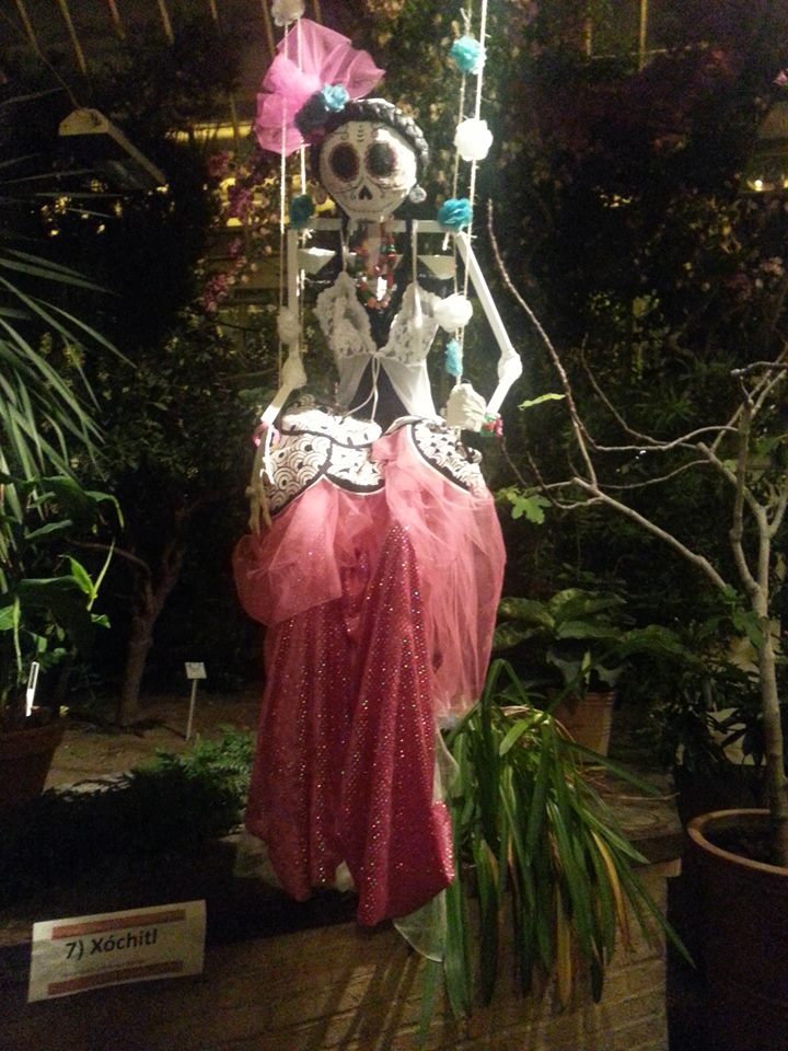 xochitl_Ninfa_Estrada_Orozco