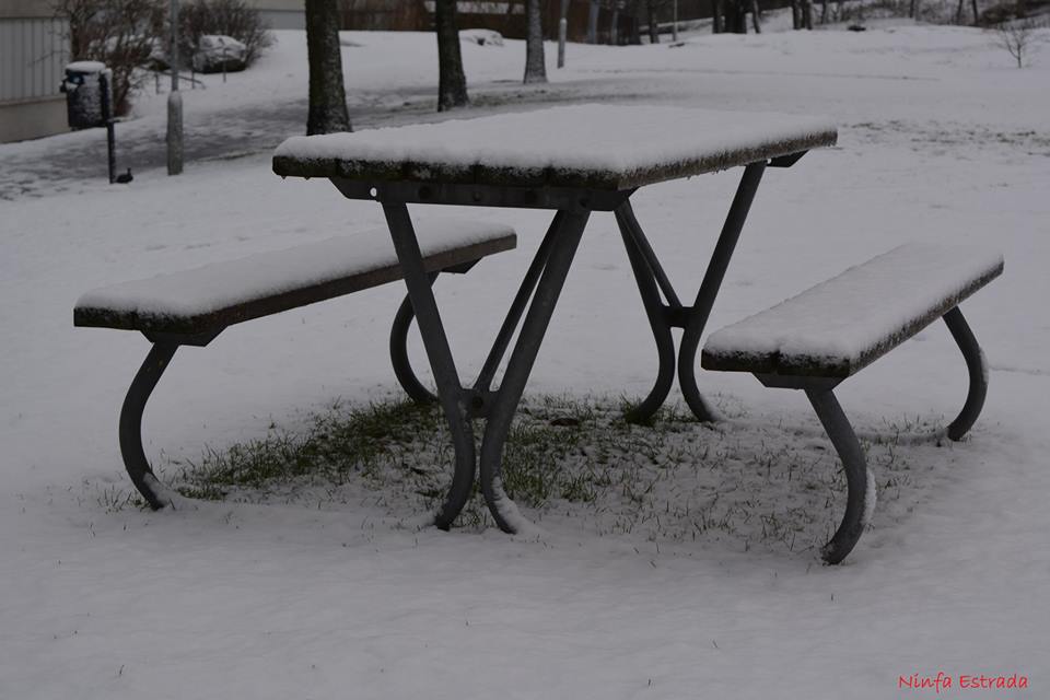 la_terraza_Ninfa_Estrada_Orozco