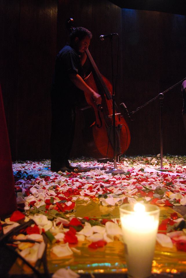 Concierto de luz, flores y sombras_Bulmaro_Bazaldúa_Baldo