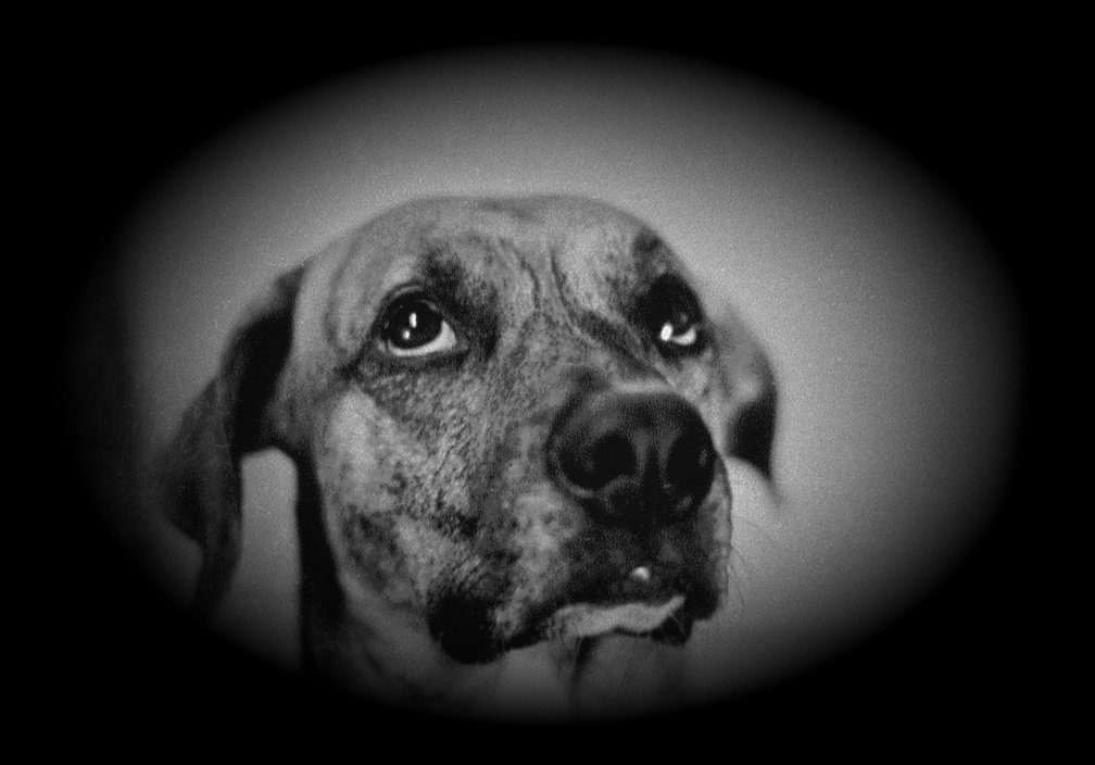 Hipnosis_Magdalena_Mulia_Cabrera