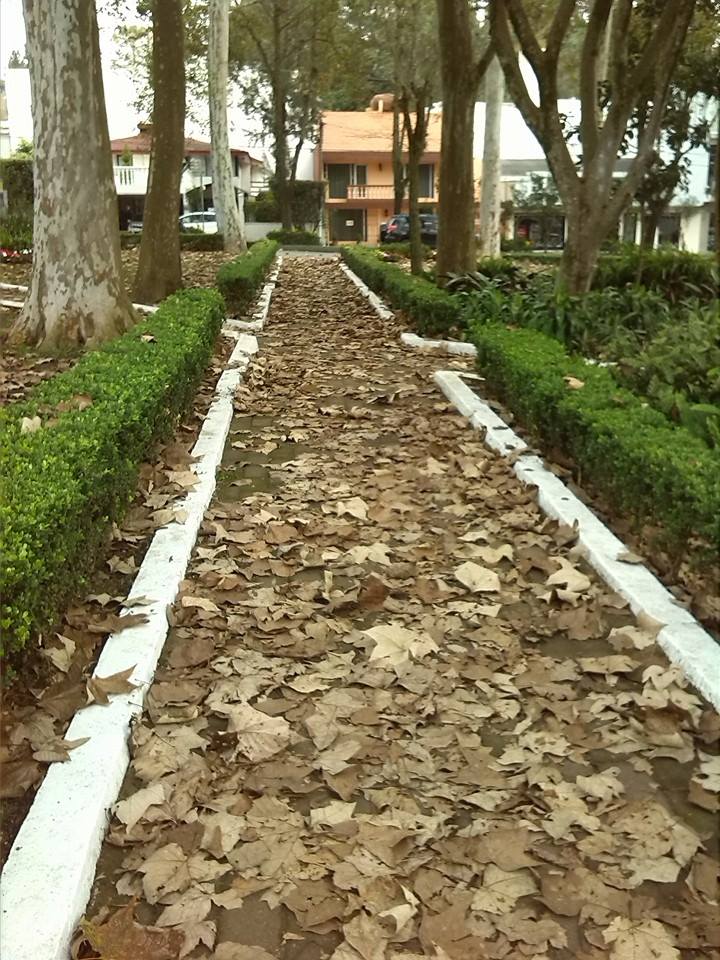 Las_Hojas Muertas_Ricardo_Luna_Aburto