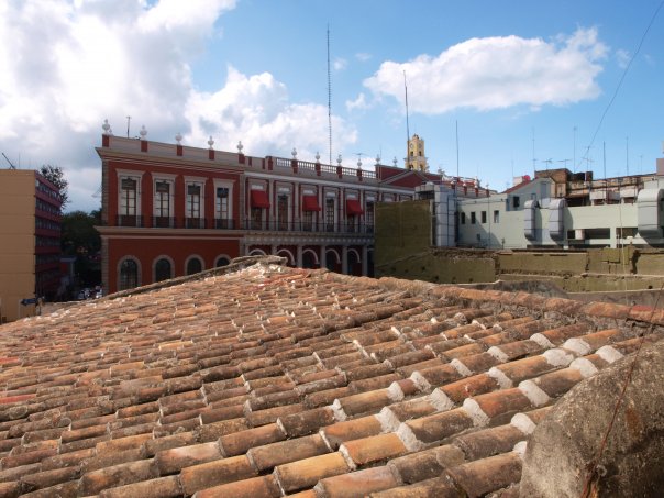Mirada_de_gato_Ricardo_Luna_Aburto