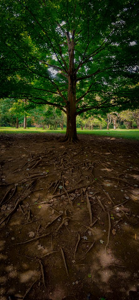 Agarrado_al_mundo_Bulmaro_Bazaldúa_Baldo