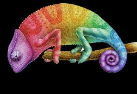 GATOPARDISMO-FORMACIONES