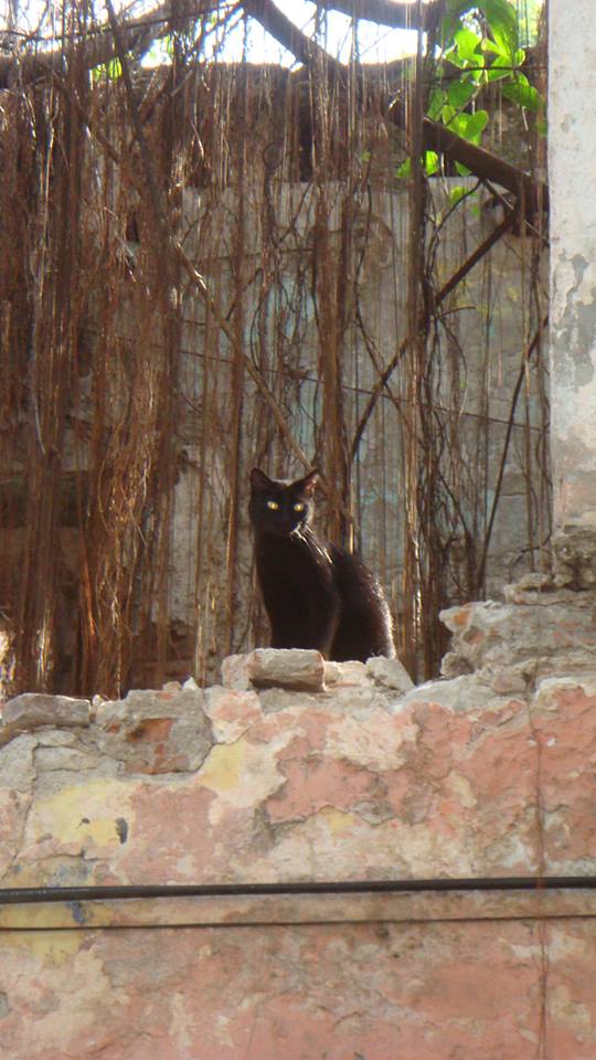 Guardián_Daniel_David_Rivera_Mercado