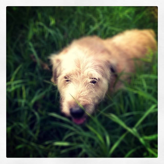 arnold_Foto_Rodolfo_Calderon_Vivar