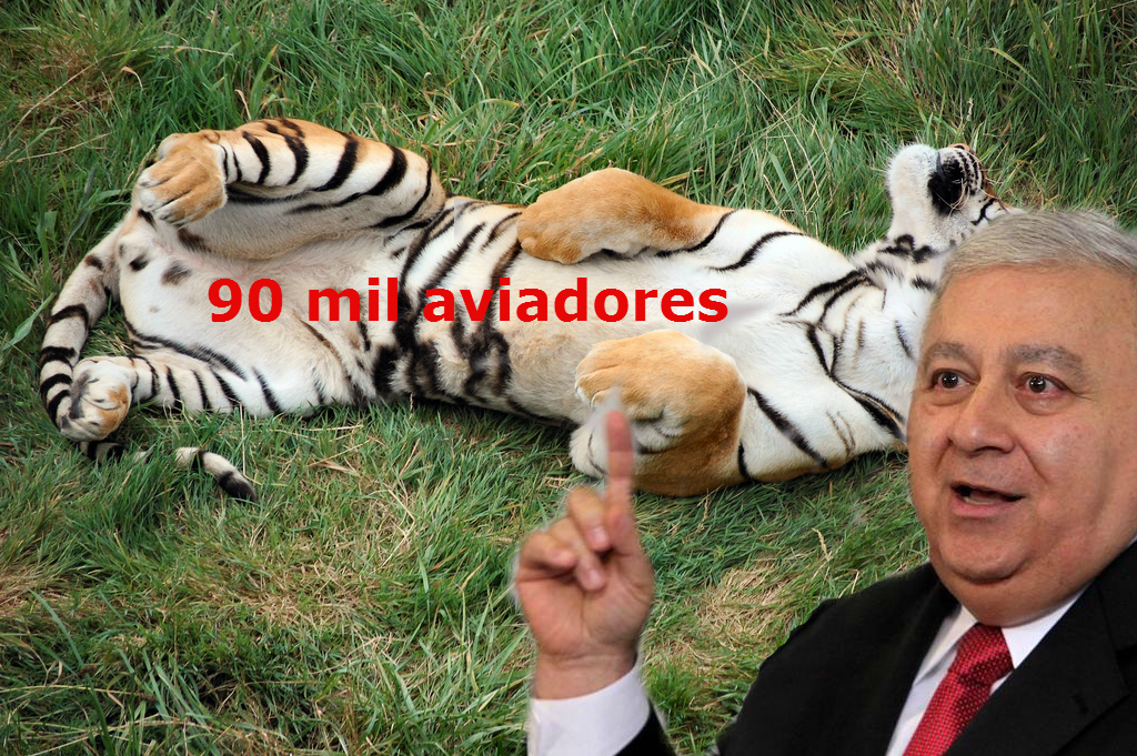 chauyfett_solo_rasca_panza_tigre