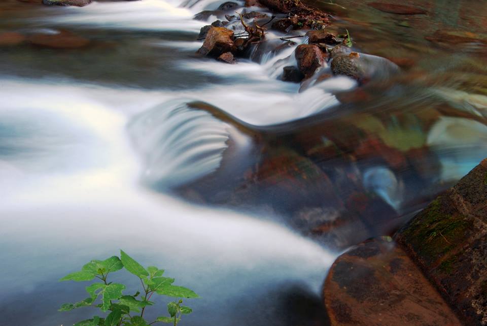 pancho_pozas_Bulmaro_bazaldúa_Baldo