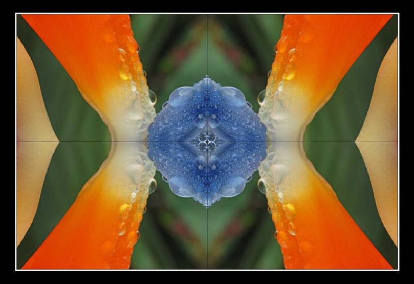 Botánica_Bulmaro_Bazaldúa_Baldo