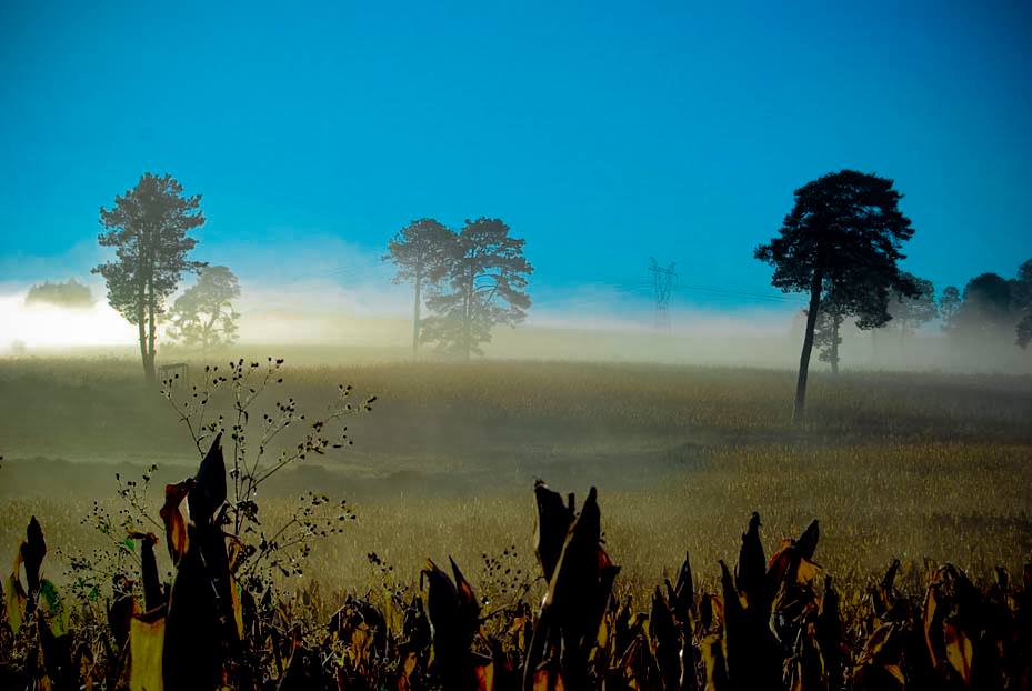 Polvos_de_la_Planicie