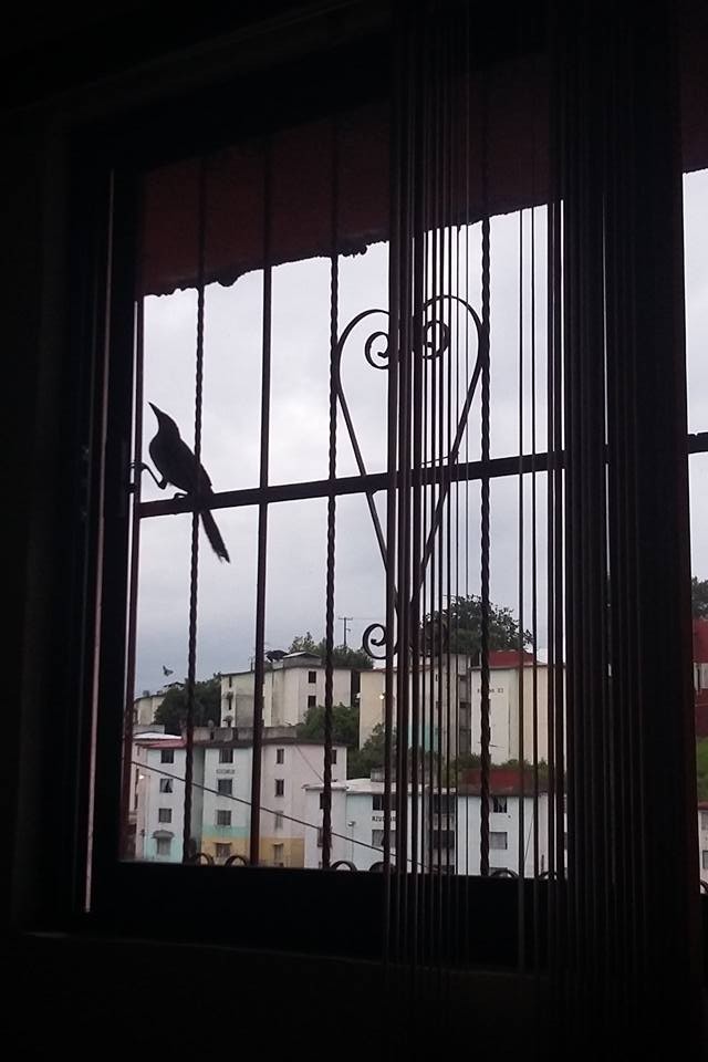 Atrapado_sin_salida_3_Claudia_Bautista_Luna