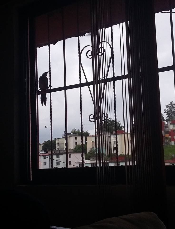 Atrapado_sin_salida_Claudia_Bautista_Luna