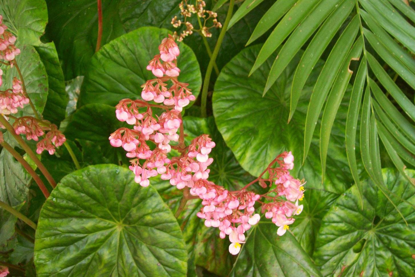 joyas_Mario_Jesús_Gaspar_Cobarrubias