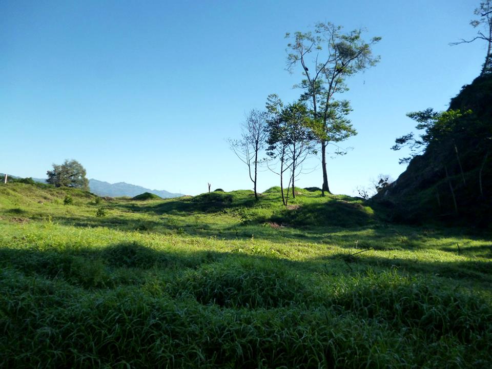 Verde_que_te_quiero_verde_Mario_Jesús_Gaspar_Cobarrubias