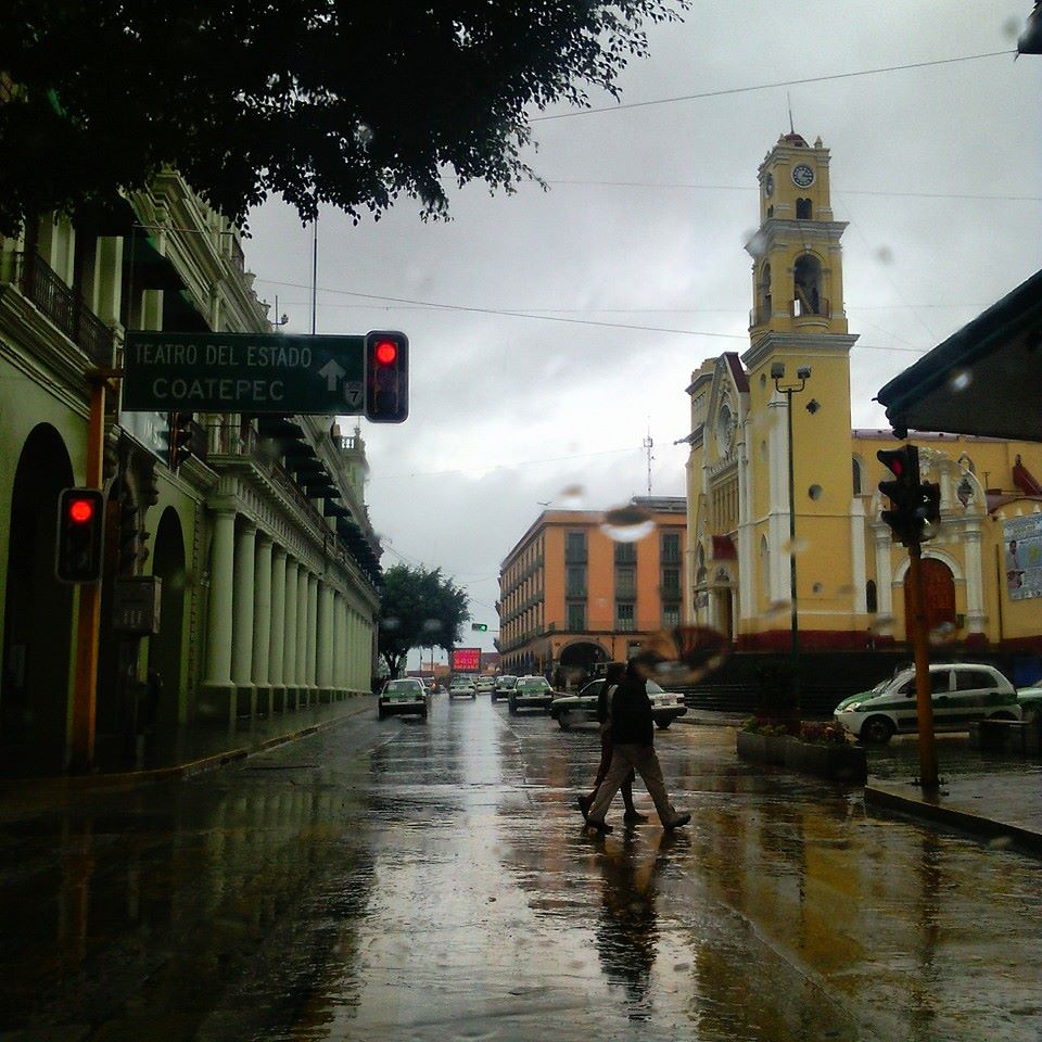 arroyo_gris_Ricardo_Luna_Aburto